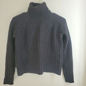 Banana Republic 100% Merino Wool Gray Turtleneck Pullover Cropped Women's Medium